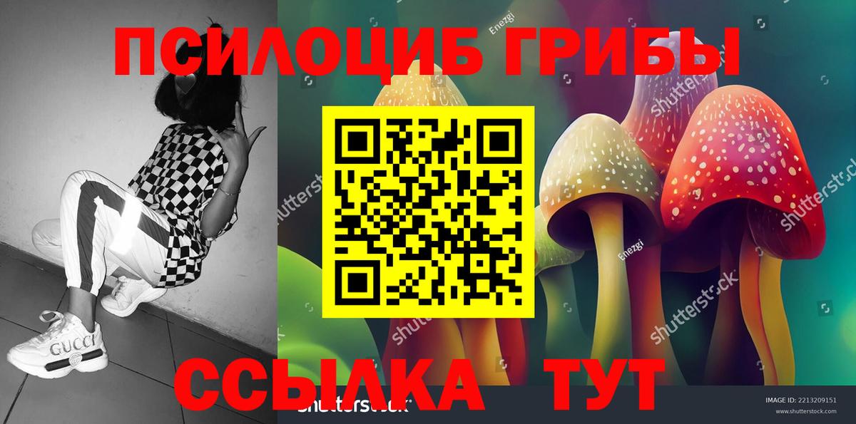 Псилоцибиновые грибы мицелий  Вход с VPN  Зеленогорск  Псилоцибиновые грибы Psilocybe 